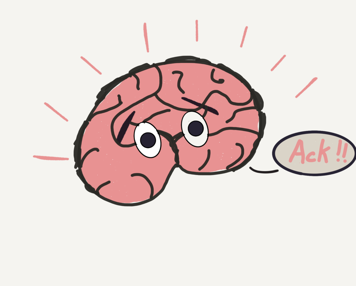 Your Brain Knows You Want Connection